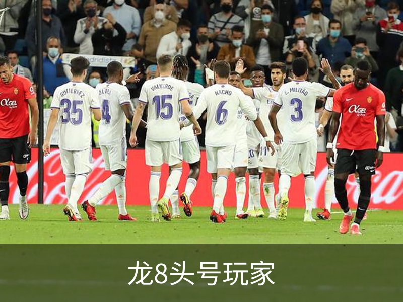 龙8头号玩家介绍